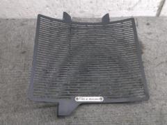 T-REX
RACING
Radiator core guard
Triumph
Street Triple 765RS