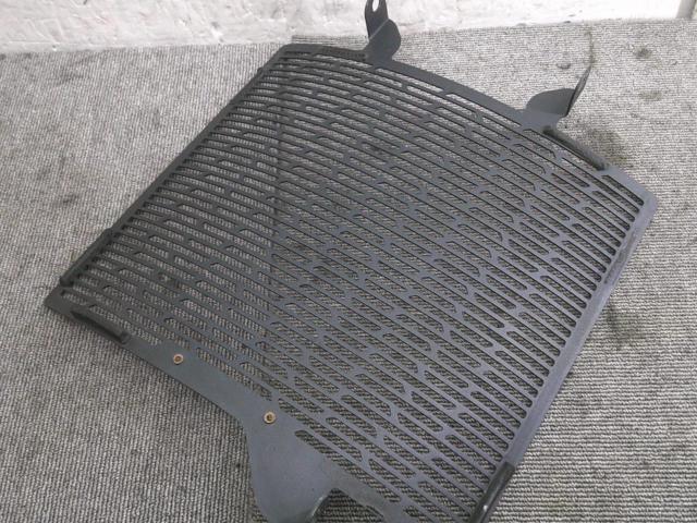 T-REX
RACING
Radiator core guard
Triumph
Street Triple 765RS