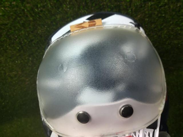 EVS Knee and Shin Guards
white