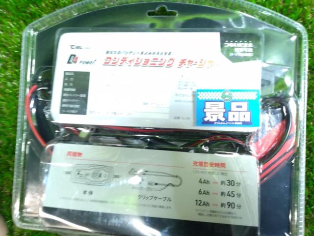 CIEL
D4
Conditioning Charger