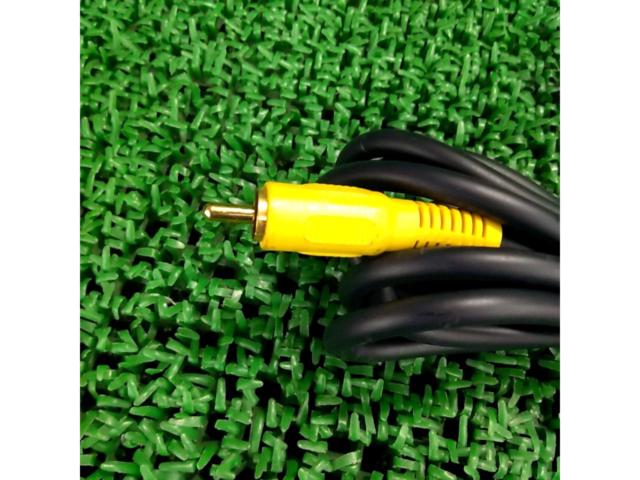 What a find!
RCA cable