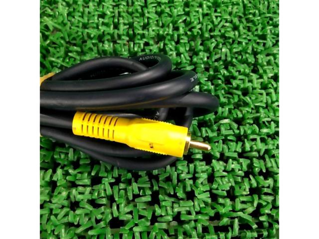 What a find!
RCA cable