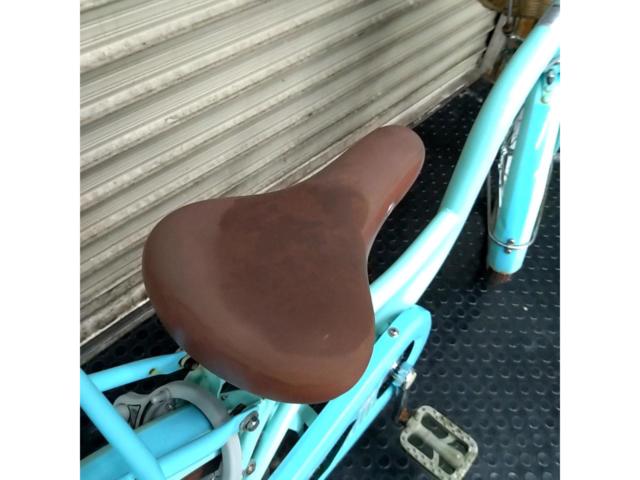 ダイワサイクル シルバーリング キュート 20インチ シングルギア キッズサイクル ブルー