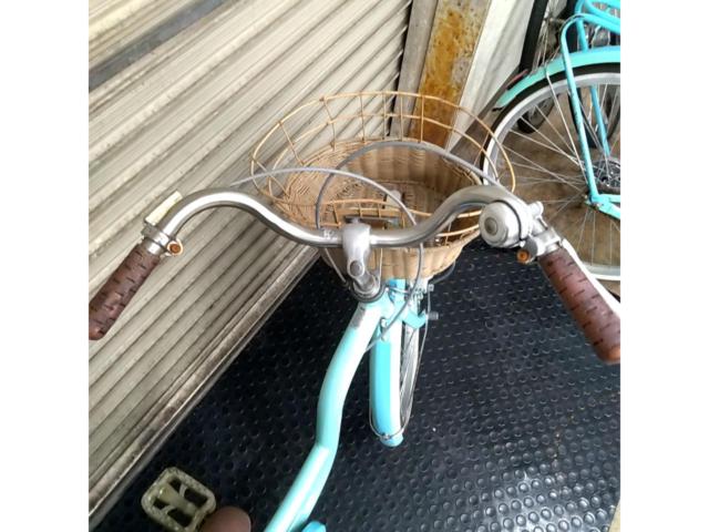 ダイワサイクル シルバーリング キュート 20インチ シングルギア キッズサイクル ブルー