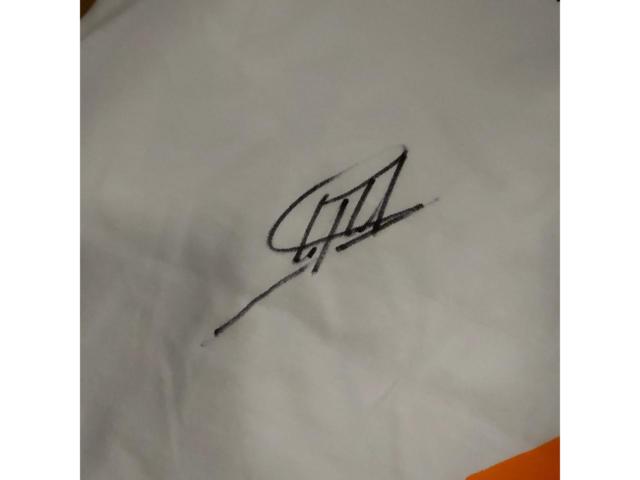 【サイズ:L】2018年 マクラーレンF1チーム MCL33 チーム公式Tシャツ #2 ストフェル・ヴァンドーン ※サイン入り (McLaren 18 SV TEE)