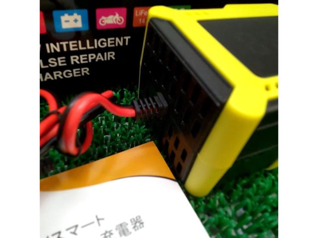 UL
Japan
12V battery charger
FX203P