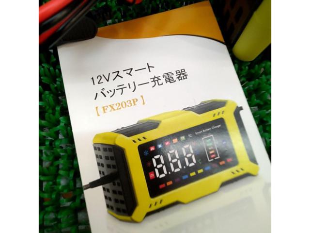UL
Japan
12V battery charger
FX203P