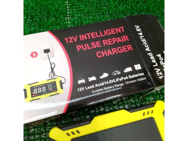 UL
Japan
12V battery charger
FX203P