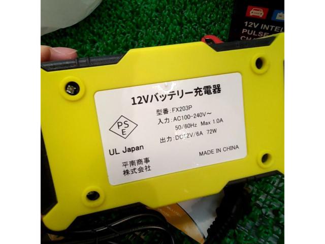 UL
Japan
12V battery charger
FX203P
