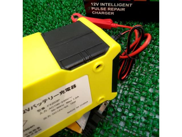 UL
Japan
12V battery charger
FX203P