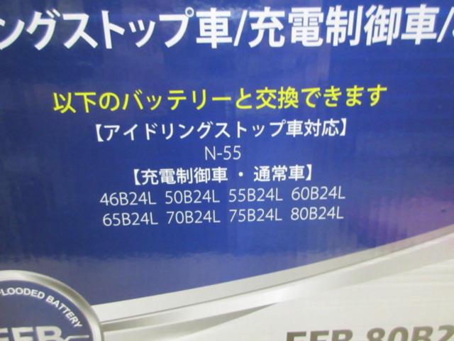 LEOCH EFB-80B24L (Z10130)