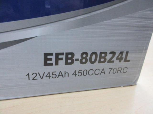 LEOCH EFB-80B24L (Z10130)