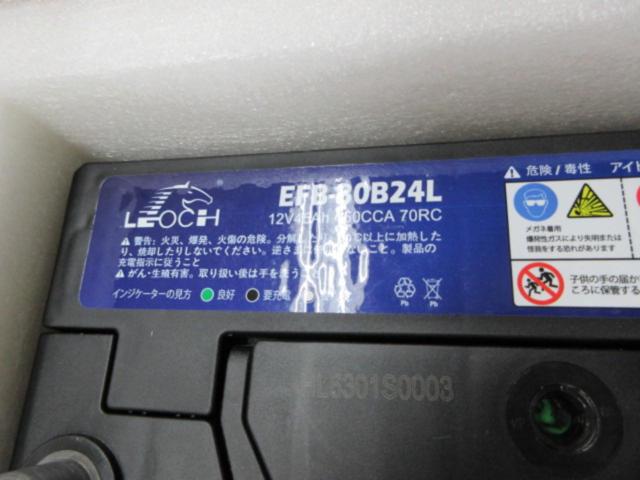 LEOCH EFB-80B24L (Z10130)