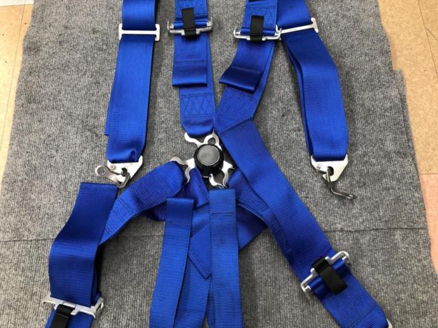BTM 15-point seat belt