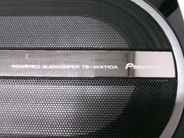 carrozzeria TS-WX110A