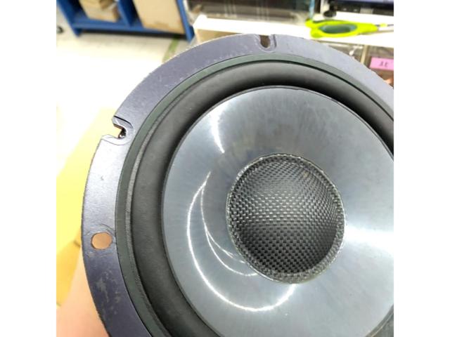 DAITONE(ダイヤトーン) WF-G20【ミッドスピーカーのみ】