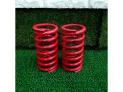 Spring rate: 8.0 kg!!
Largus
RS Springs