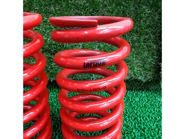 Spring rate: 8.0 kg!!
Largus
RS Springs