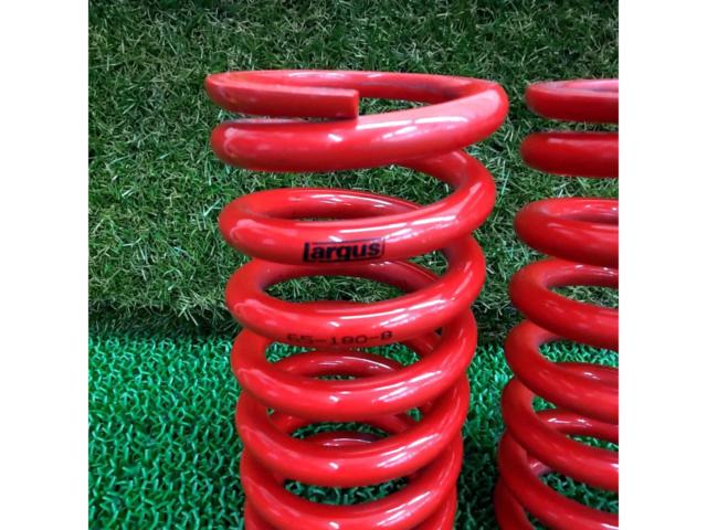 Spring rate: 8.0 kg!!
Largus
RS Springs