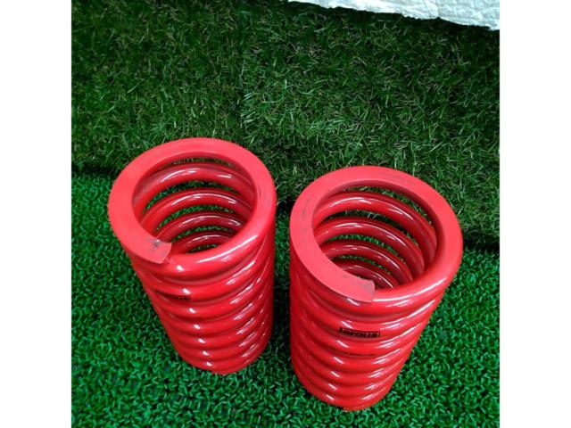 Spring rate: 8.0 kg!!
Largus
RS Springs