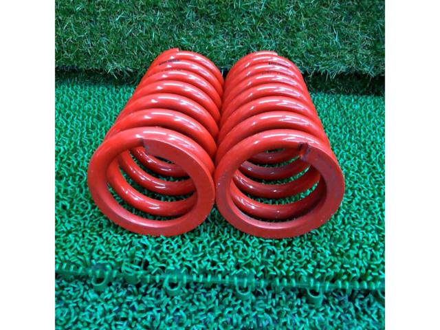 Spring rate: 8.0 kg!!
Largus
RS Springs