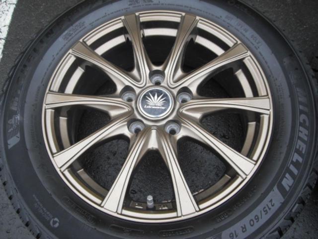 MICHELIN X-ICE SNOW + Lehrmeister PREMIX AMALFI V Jr