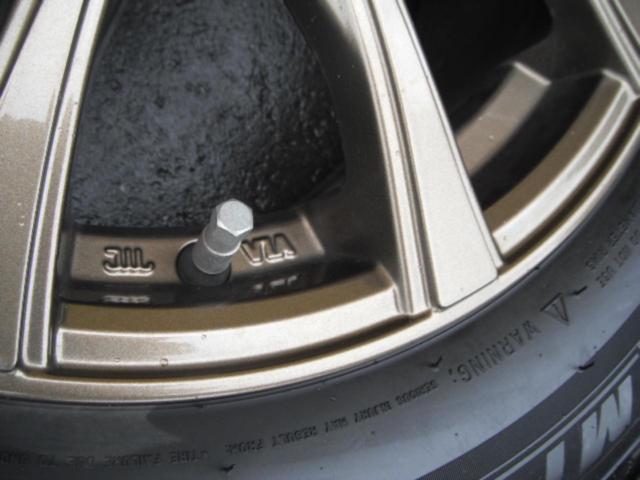 MICHELIN X-ICE SNOW + Lehrmeister PREMIX AMALFI V Jr