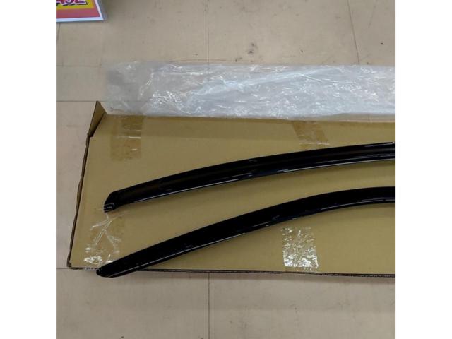 Other door visors
Sylvia / S15