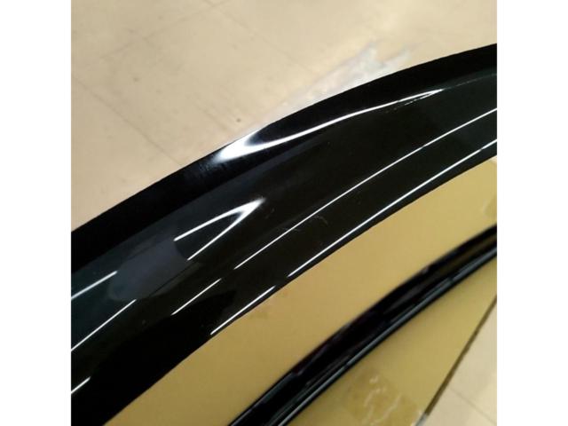 Other door visors
Sylvia / S15