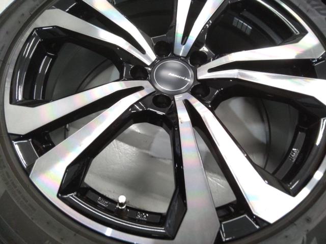 【TAS(ティー・エー・エス)】AdvanceLine SV-1 +【BRIDGESTONE】BLIZZAK DM-V3