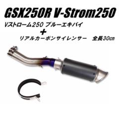 [GSX250R Vストローム250 V-Strom250 ブルーエキパイ]＆[リアルカーボンエンドチタン マフラー サイレンサー＜NO.3＞全長30㎝バッフル付]